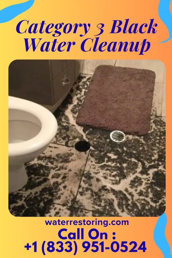 Category 3 Black Water Cleanup in Ravenna, KY