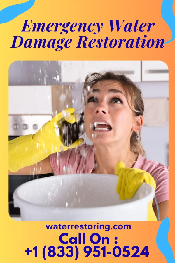 Emergency Water Damage Restoration in Ravenna, KY