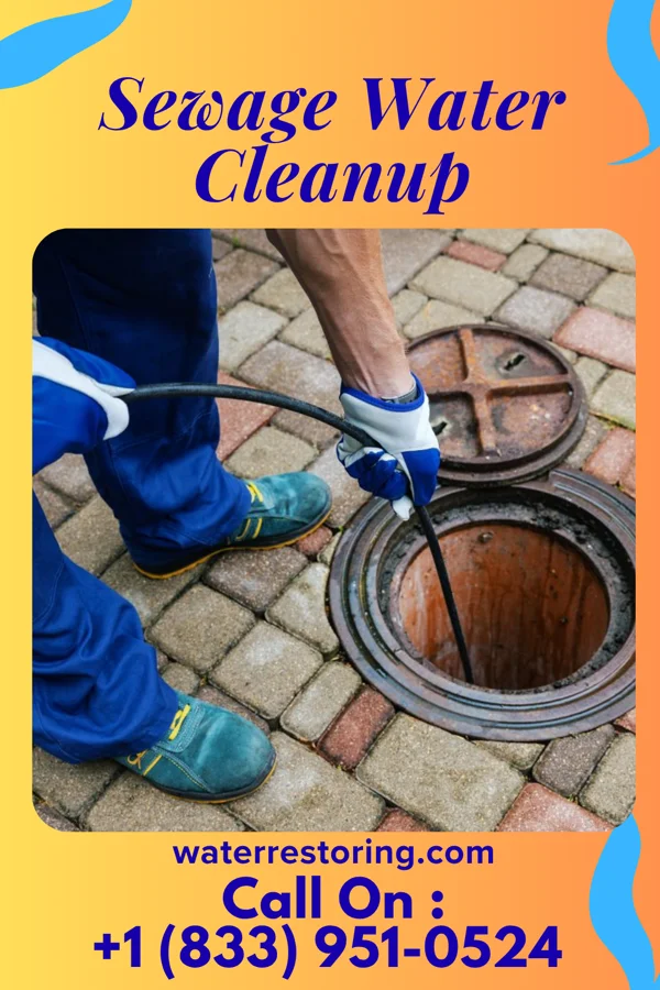 Sewage Water Cleanup in Ravenna, KY